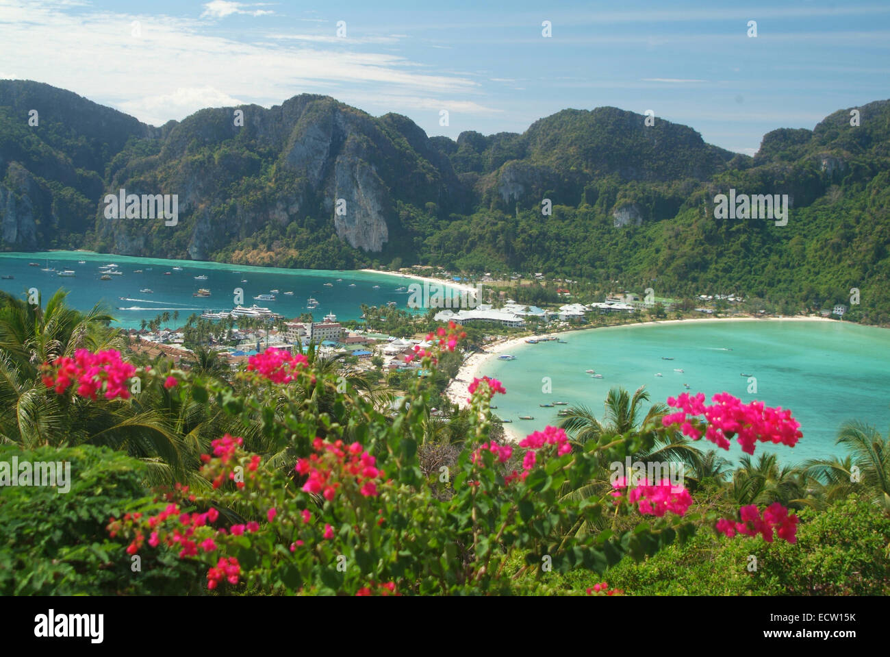 Panoramic view over Phi Phi Island Thailand with red Flowers and beaches Stock Photo