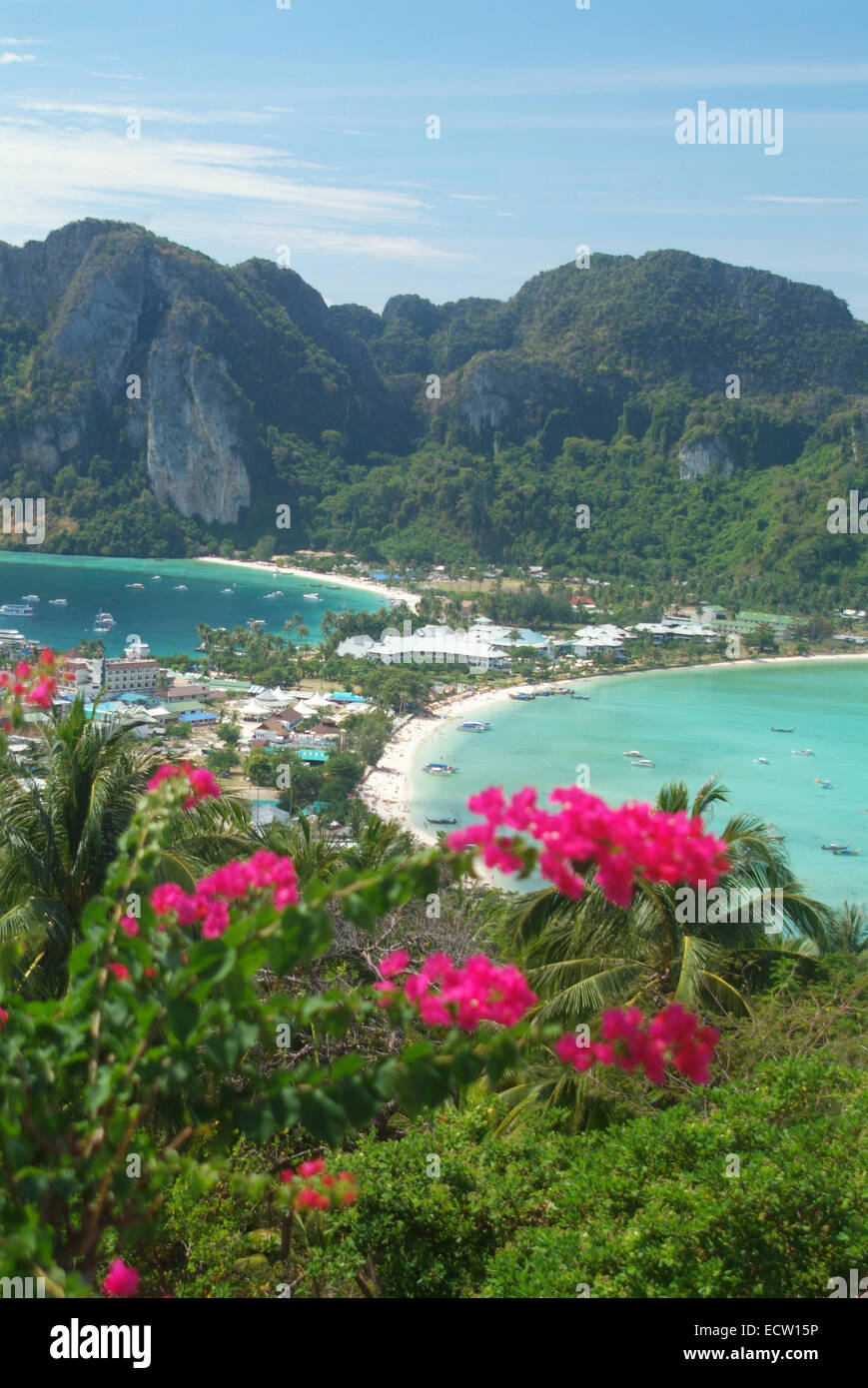 view over Phi Phi Island Thailand with red Flowers and beaches Stock Photo