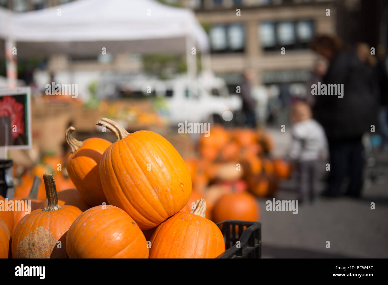 Pumpkins for sale, some days before Halloween celebration, in a street market at Union Square, Manhattan, New York City, NY, USA Stock Photo