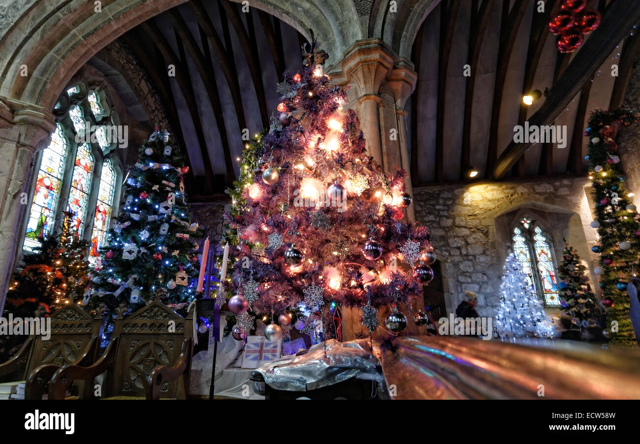 Christmas trees decorating part of the nave of St Marys Church, Brighstone, UK decorated during 