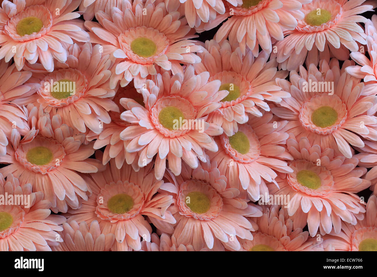 The beautiful decoration artificial flower Stock Photo