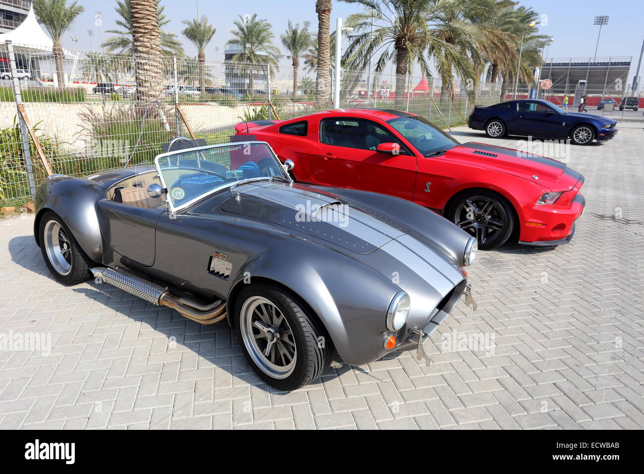 Ford Shelby Cobra with Ford Mustangs at rear at the F1circuit, Kingdom of Bahrain, during Bahrain National Day, December 2014 Stock Photo