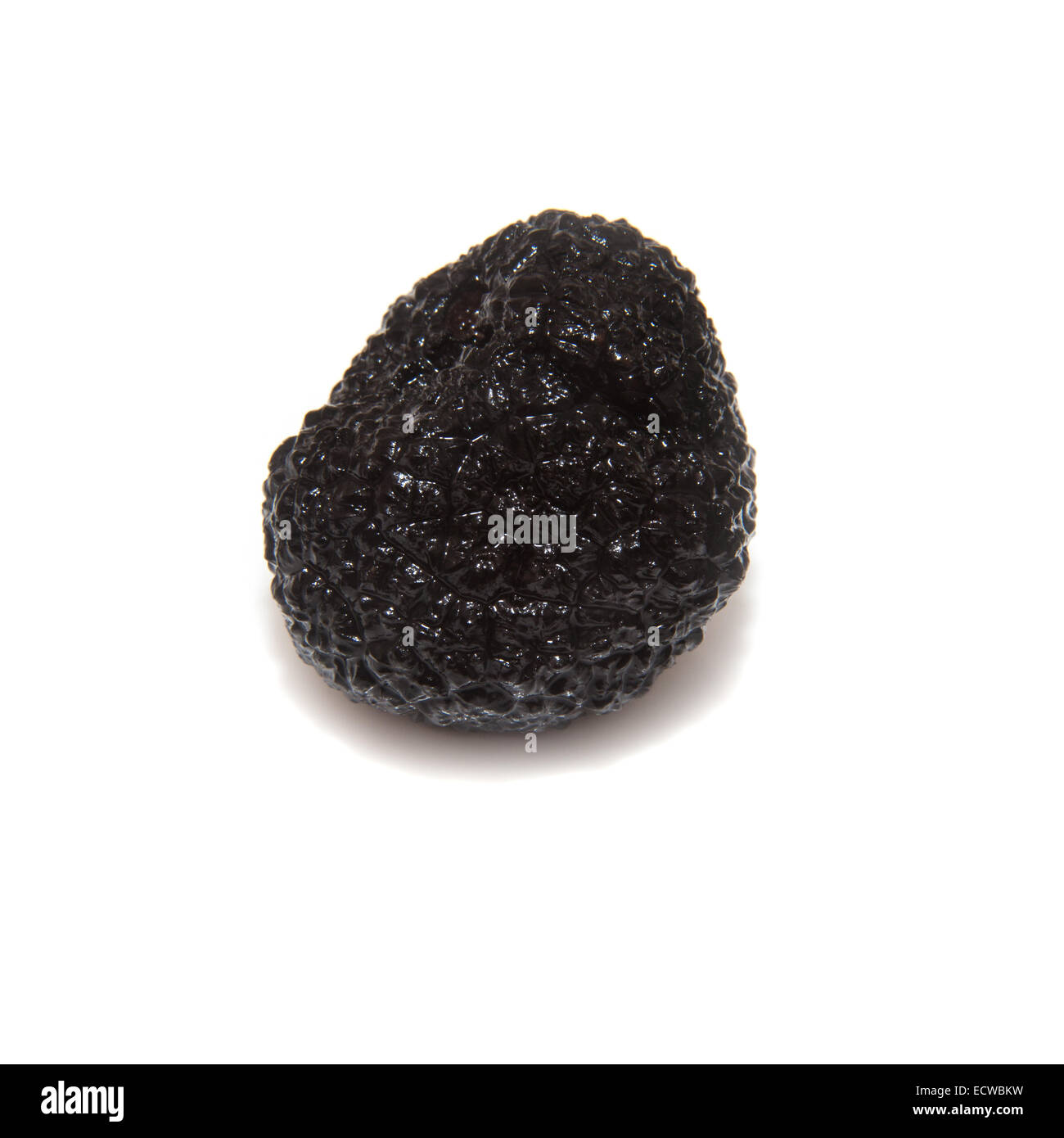 Black summer truffle or Burgundy truffle isolated on a white studio background Stock Photo
