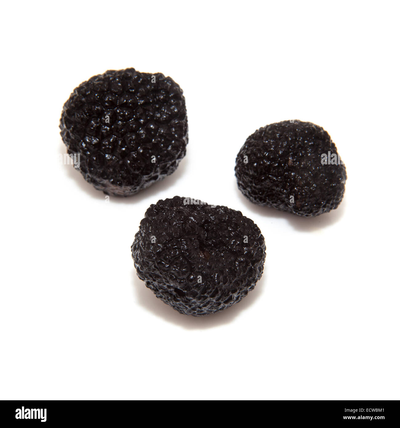 Black summer truffle or Burgundy truffle isolated on a white studio background Stock Photo