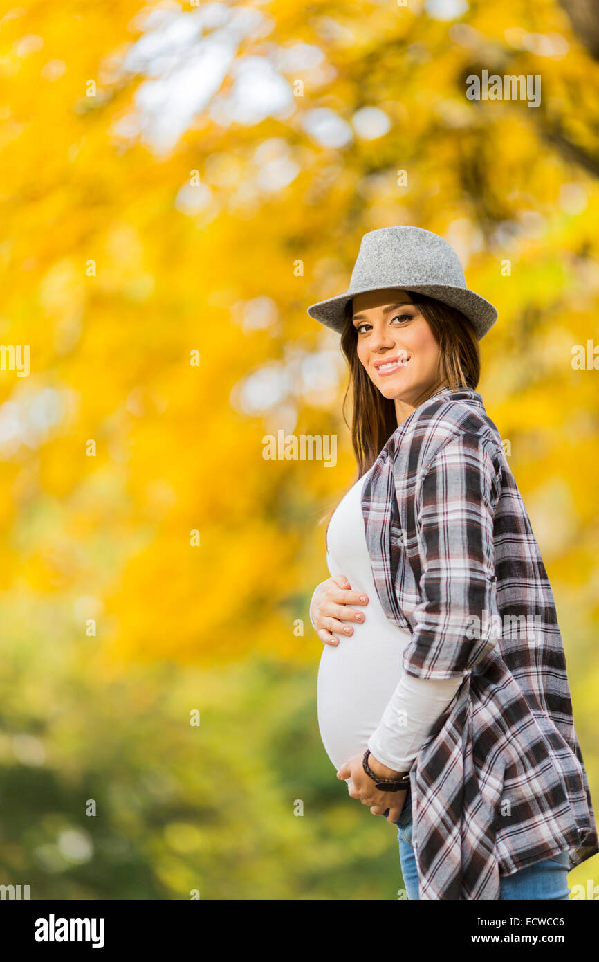 Young pregnant woman in the autumn park Stock Photo - Alamy