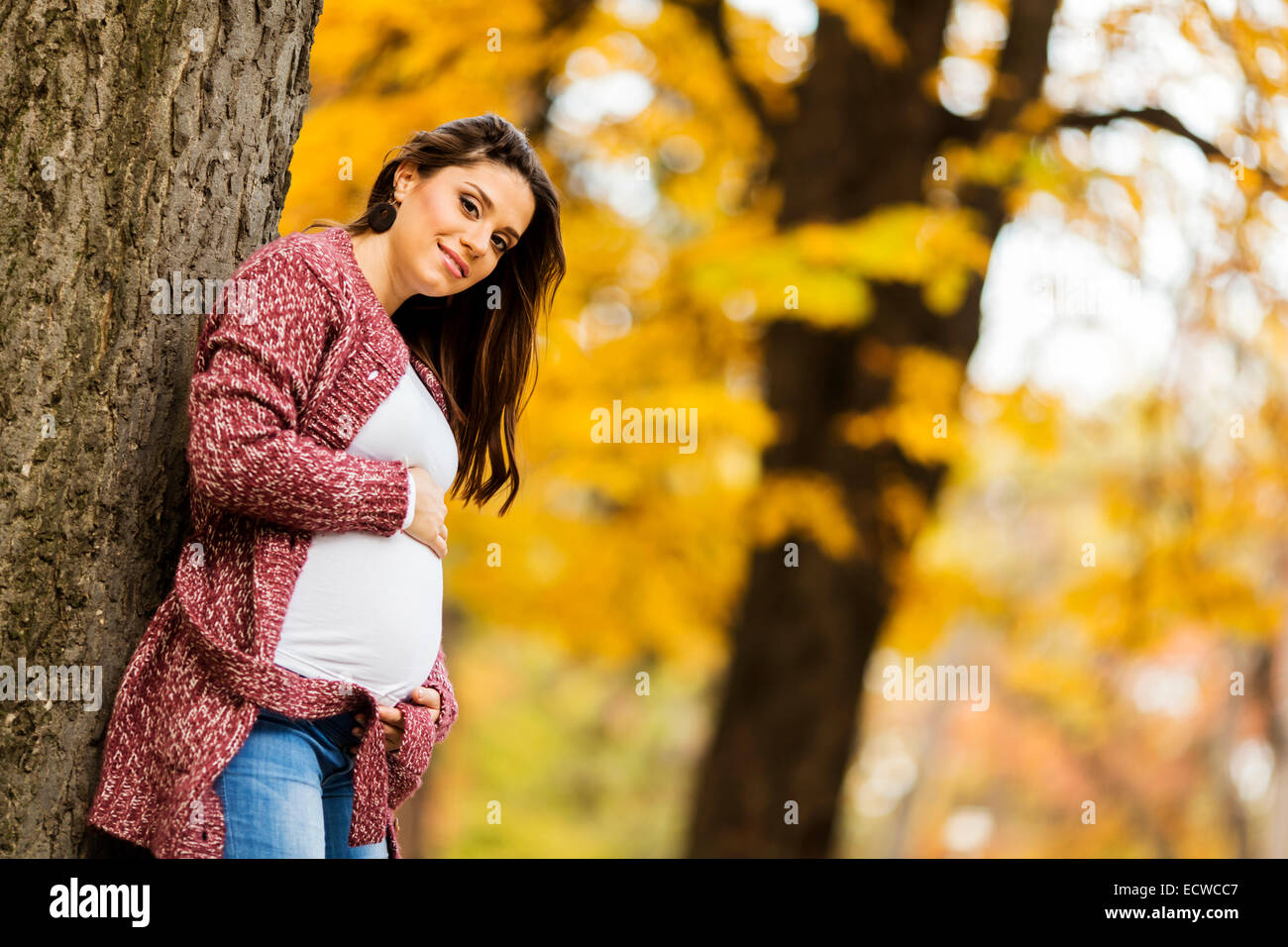 Young pregnant woman in the autumn park Stock Photo - Alamy