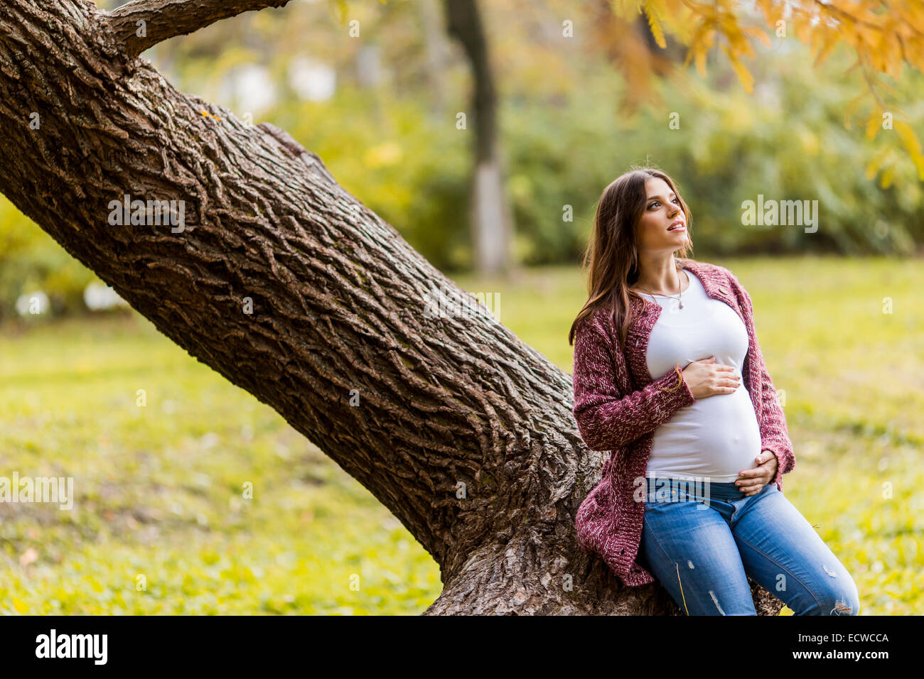 Young pregnant woman in the autumn park Stock Photo - Alamy