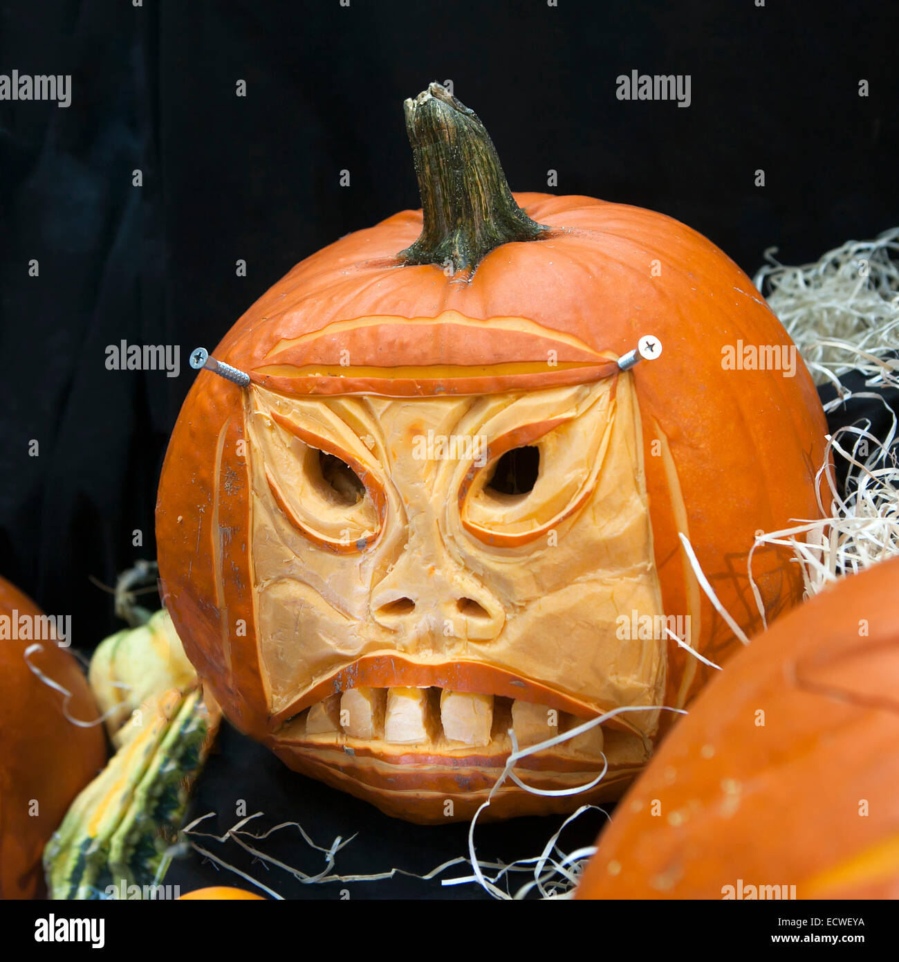 pumpkin of the Halloween Pumpkin Stock Photo - Alamy