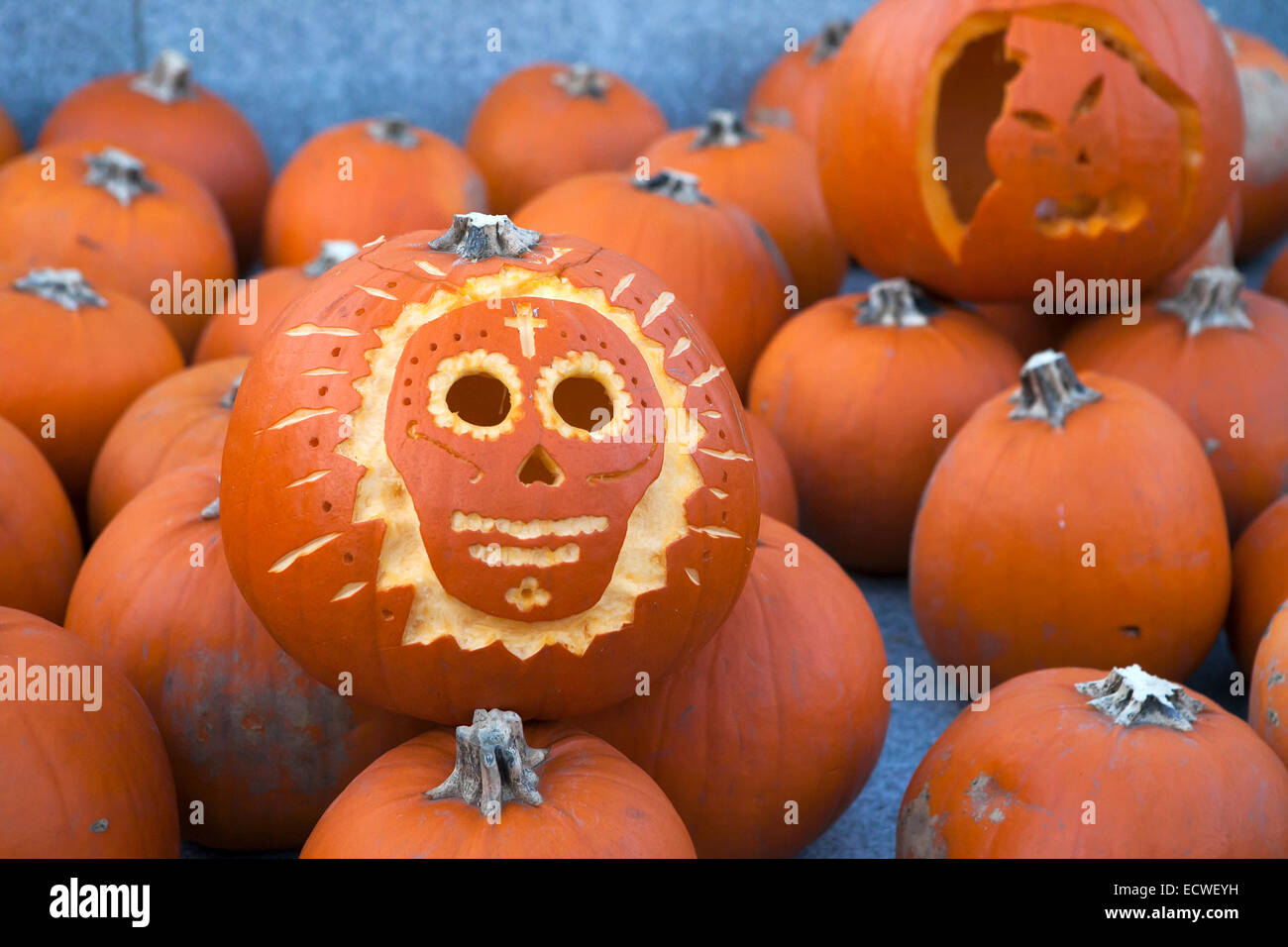 pumpkin of the Halloween Pumpkin Stock Photo - Alamy