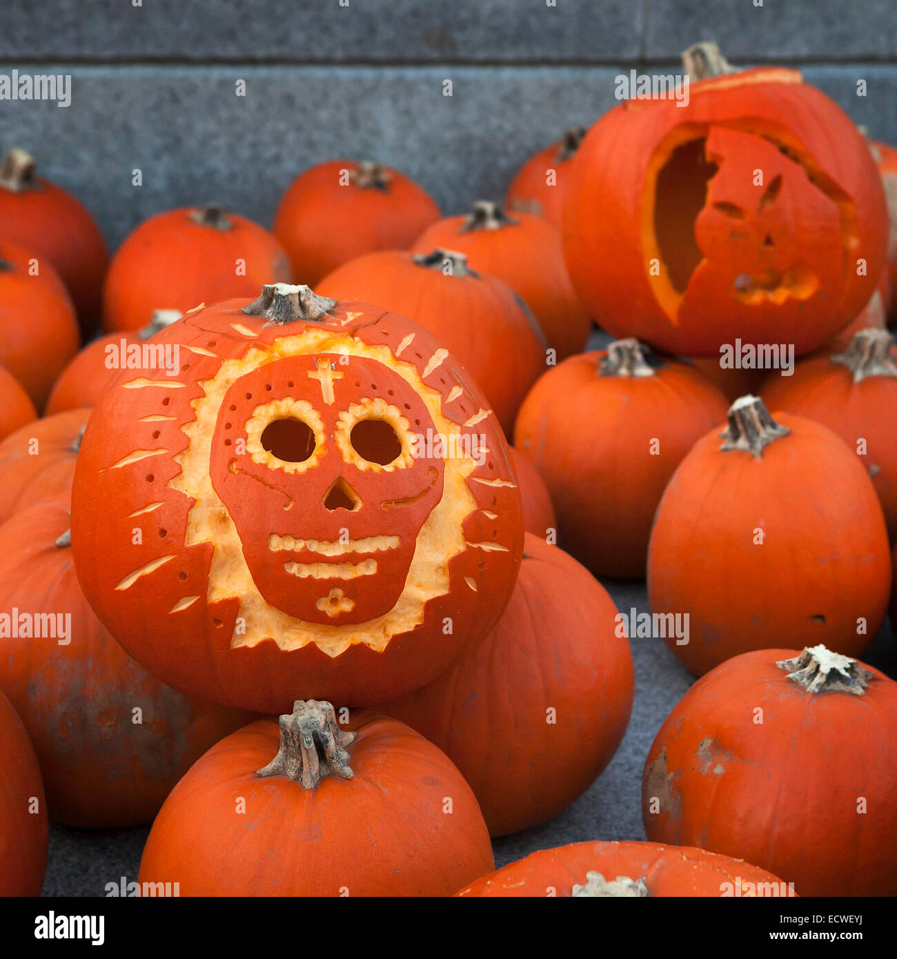pumpkin of the Halloween Pumpkin Stock Photo - Alamy