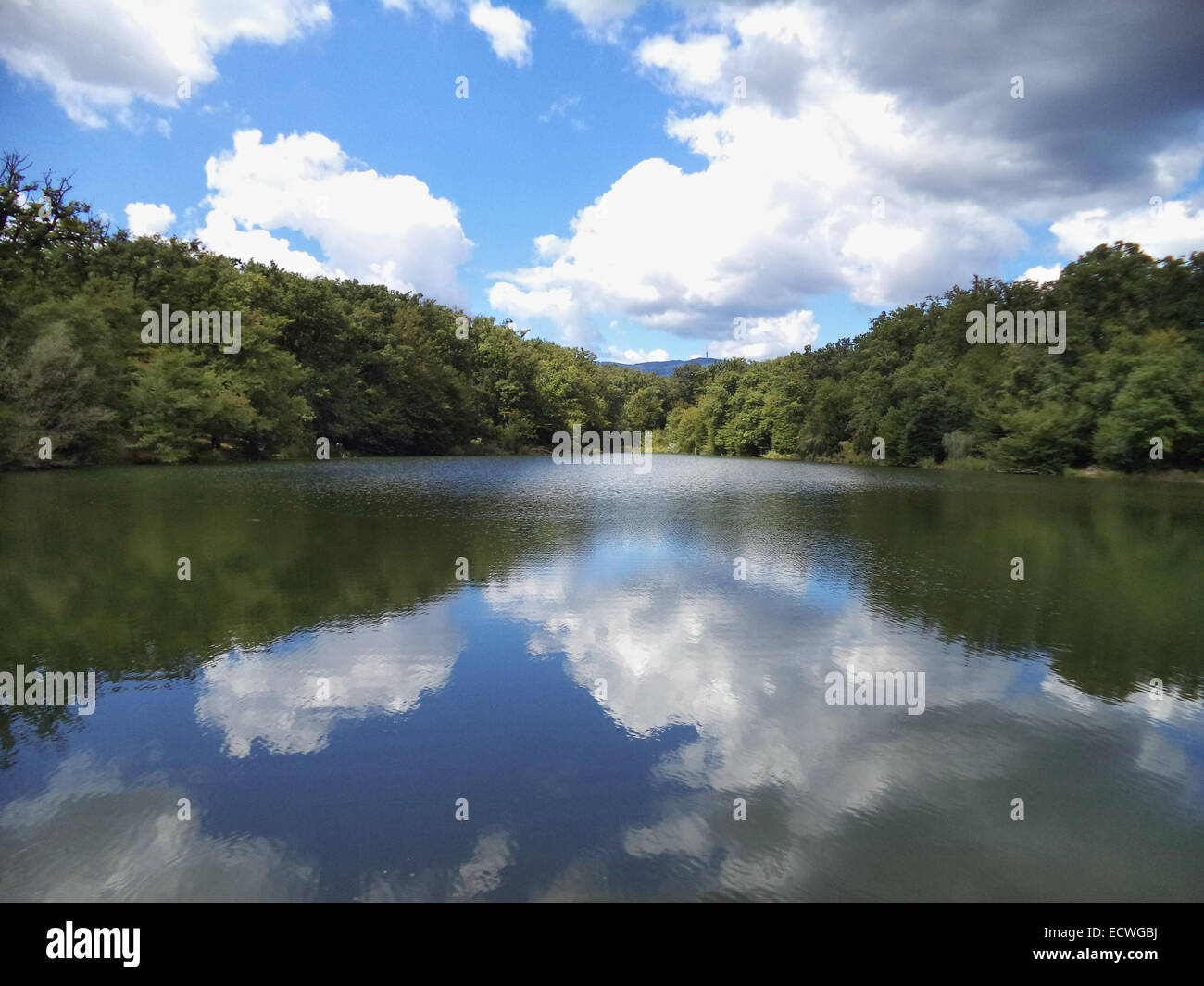 River green forest landscape hi-res stock photography and images - Alamy