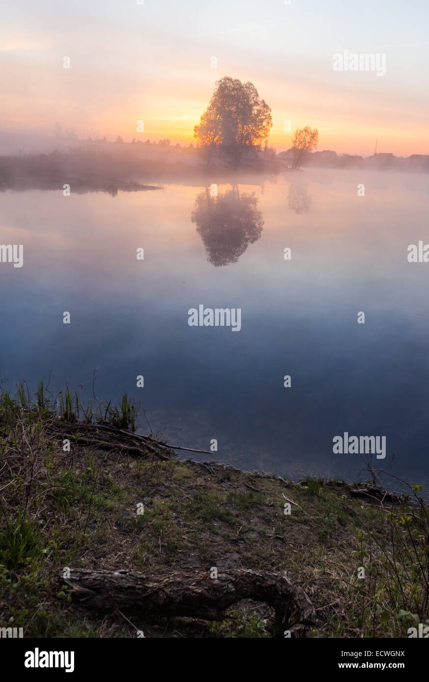 Alone tree with sun and color red orange yellow sky Stock Photo - Alamy