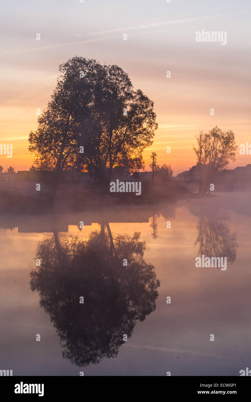 Alone tree with sun and color red orange yellow sky Stock Photo - Alamy