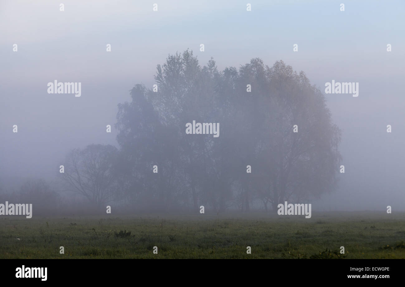 The beautiful fog on a river photo Stock Photo - Alamy