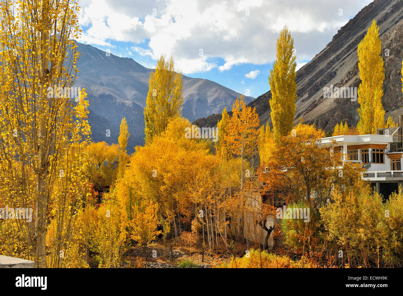 Colors in Ladakh, Leh, Jammu Kashmir, India Stock Photo