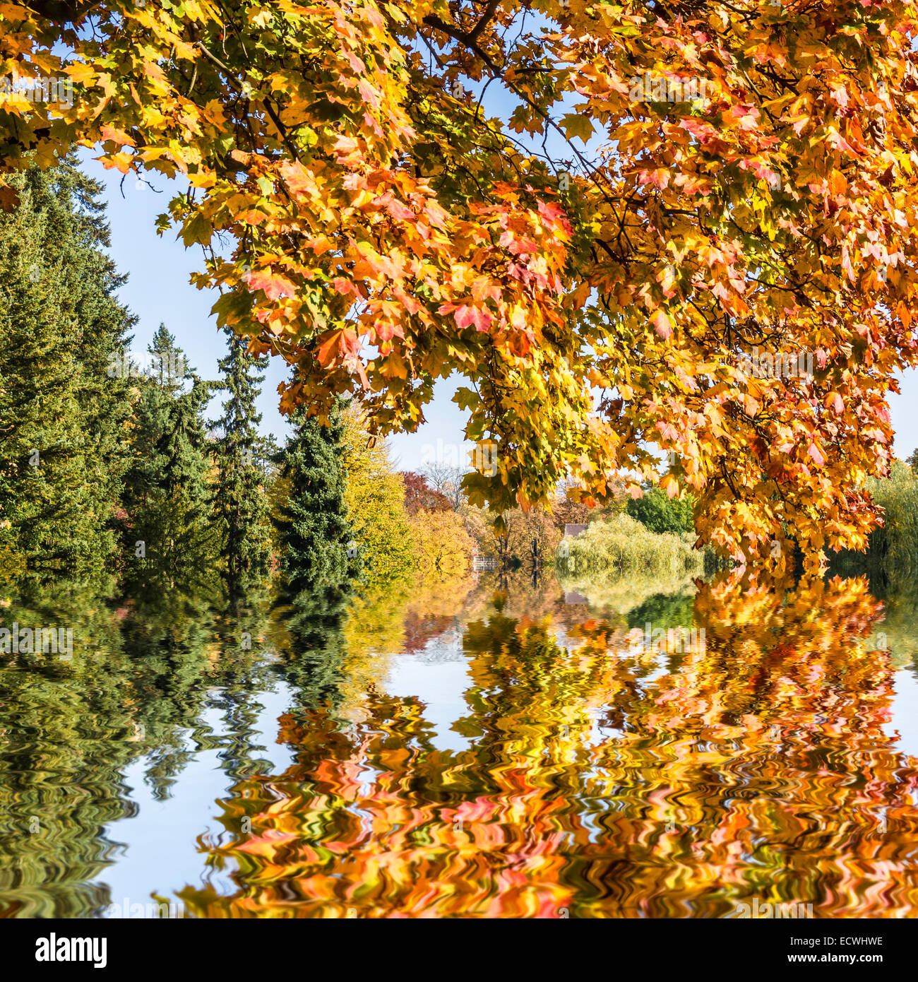 Mirror lake walk hi-res stock photography and images - Alamy