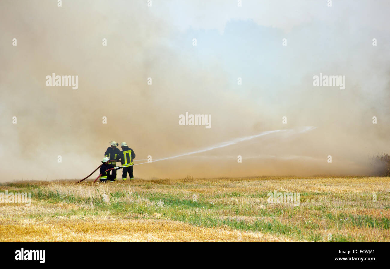 A burning cornfield is cleared Stock Photo