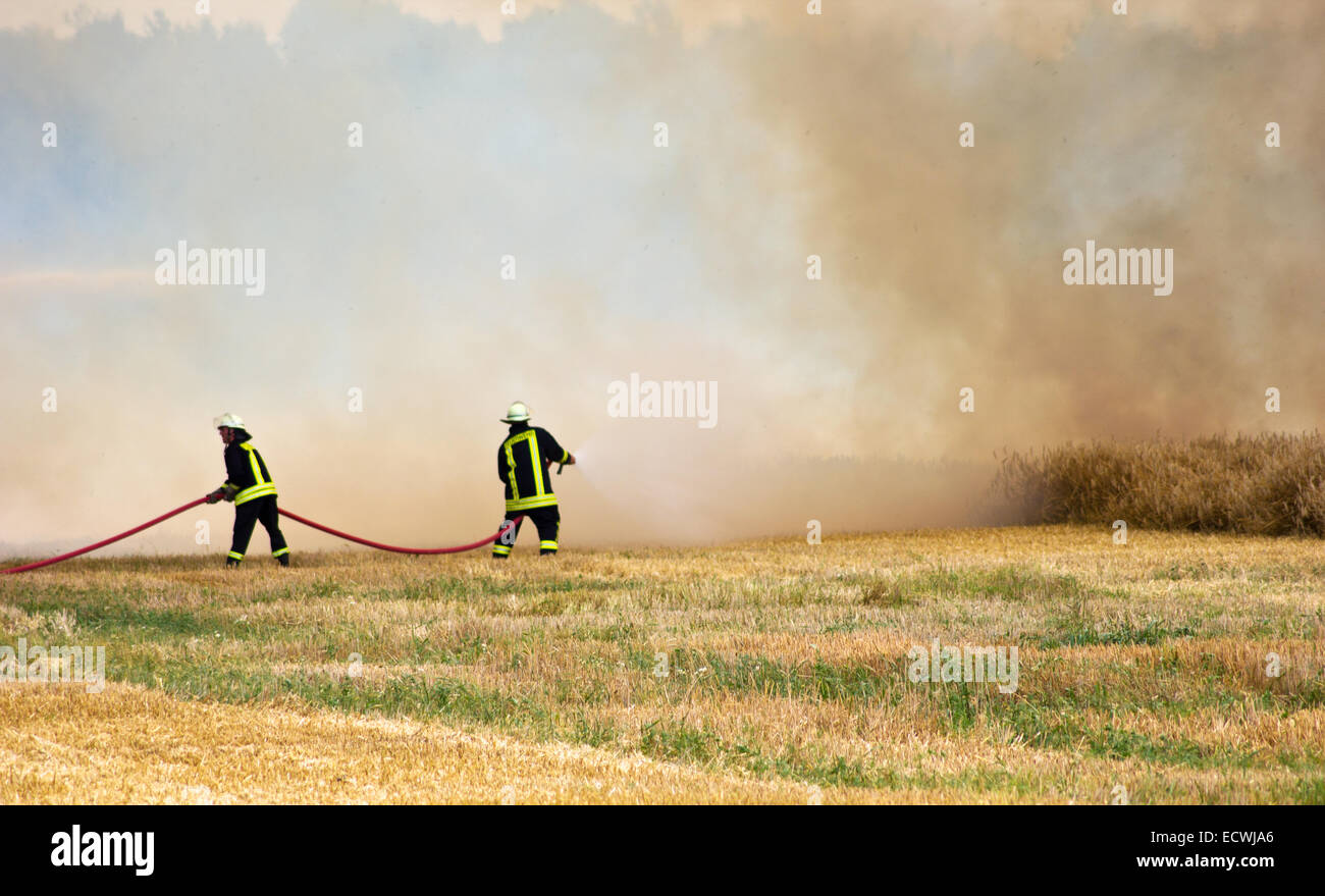 A burning cornfield is cleared Stock Photo