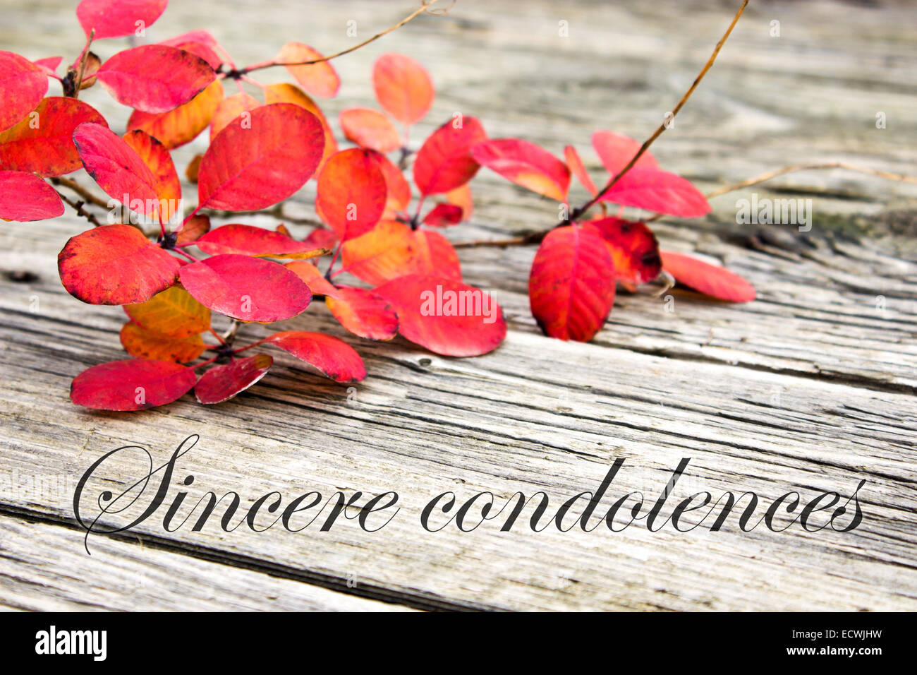 Condolence card with autumn leaves Stock Photo