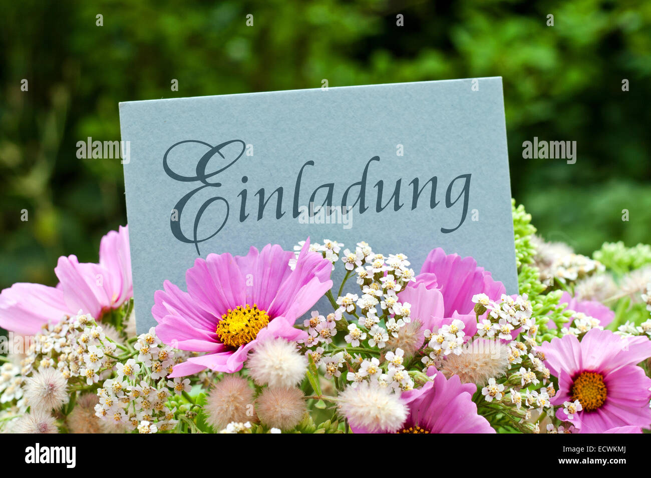 German invitation card with pink summer flowers Stock Photo Alamy