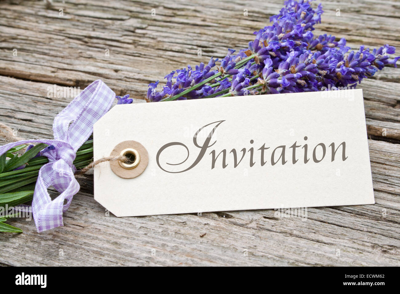 English language invitation card with lavender flowers Stock Photo Alamy