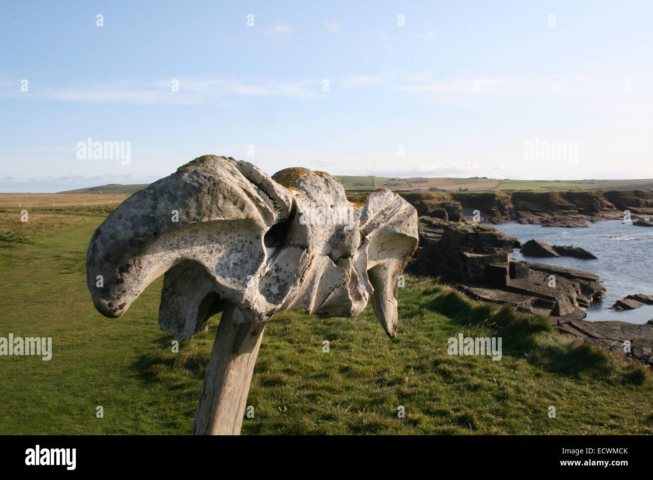 Whale Bone on the North Coast of Orkney Mainland against a Summer Sky Stock Photo