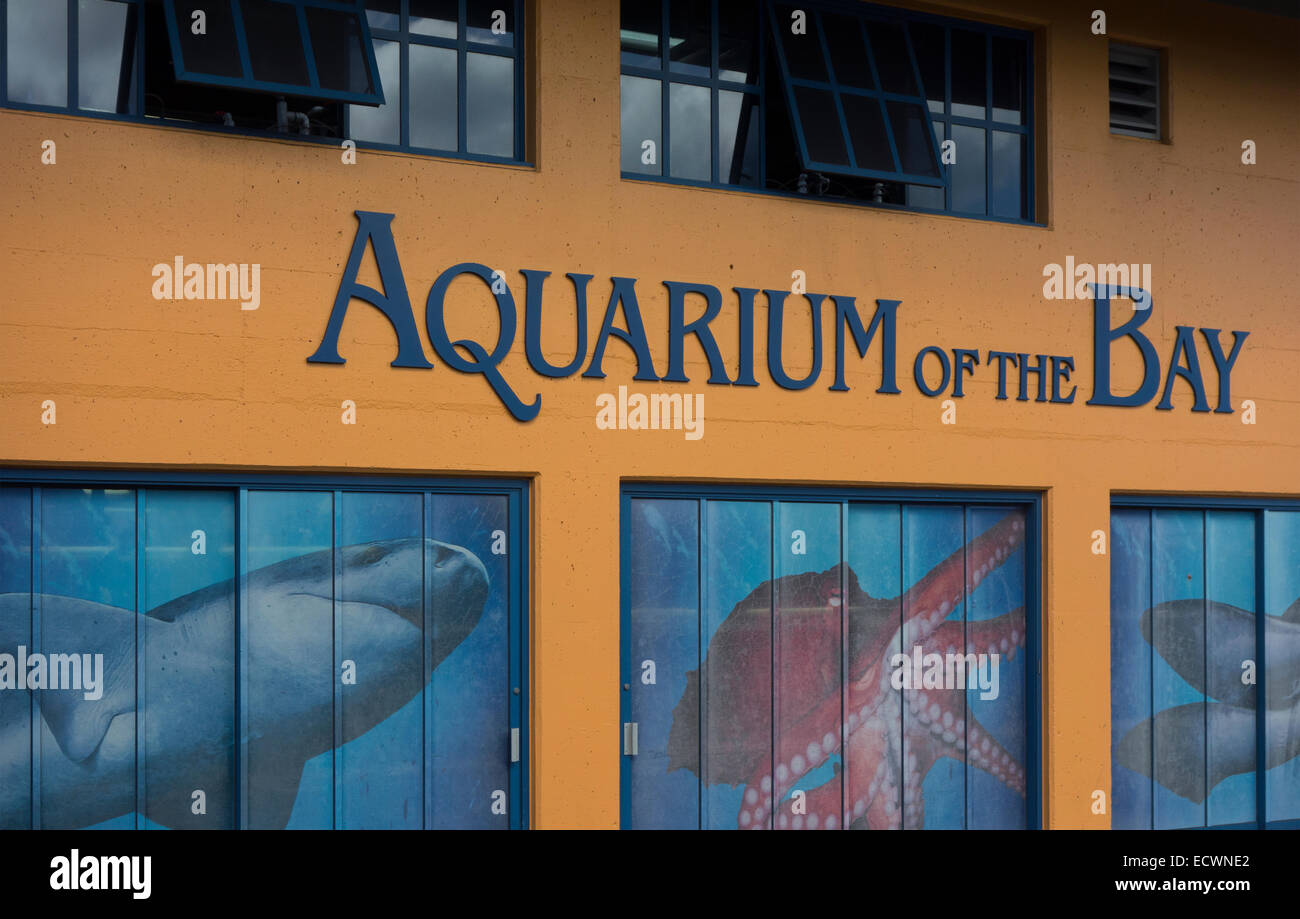 Aquarium of the Bay San Francisco CA Stock Photo Alamy