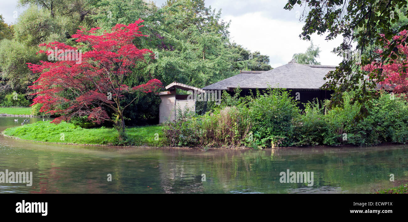 Japanese tea house in the english garden in munich, germanyjapanese tea