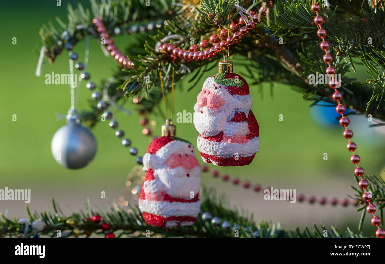 Baubles in the shape of Father Christmas or Santa Claus hanging from ...