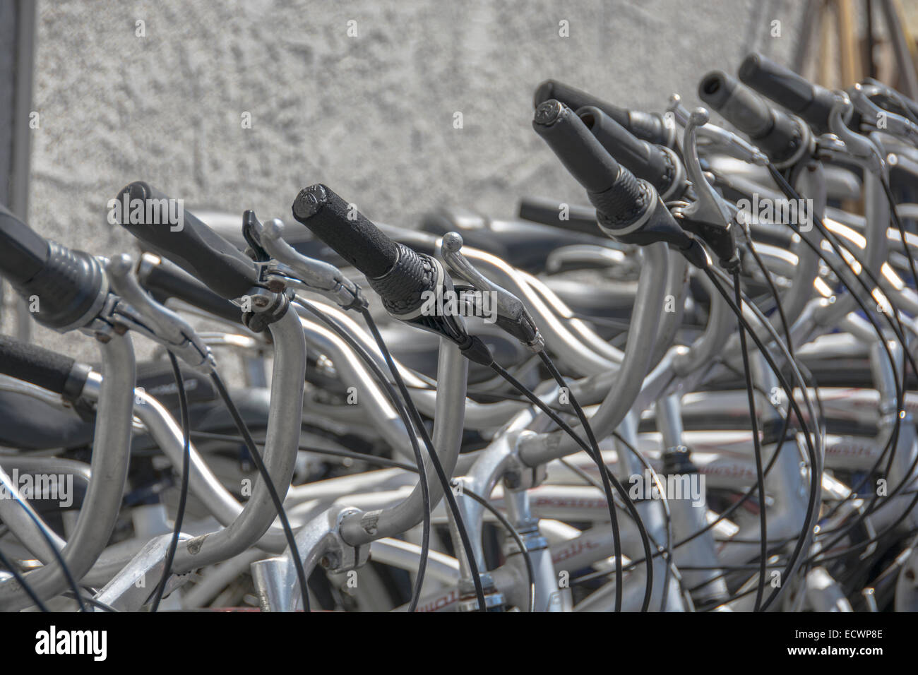 beach cruiser bars