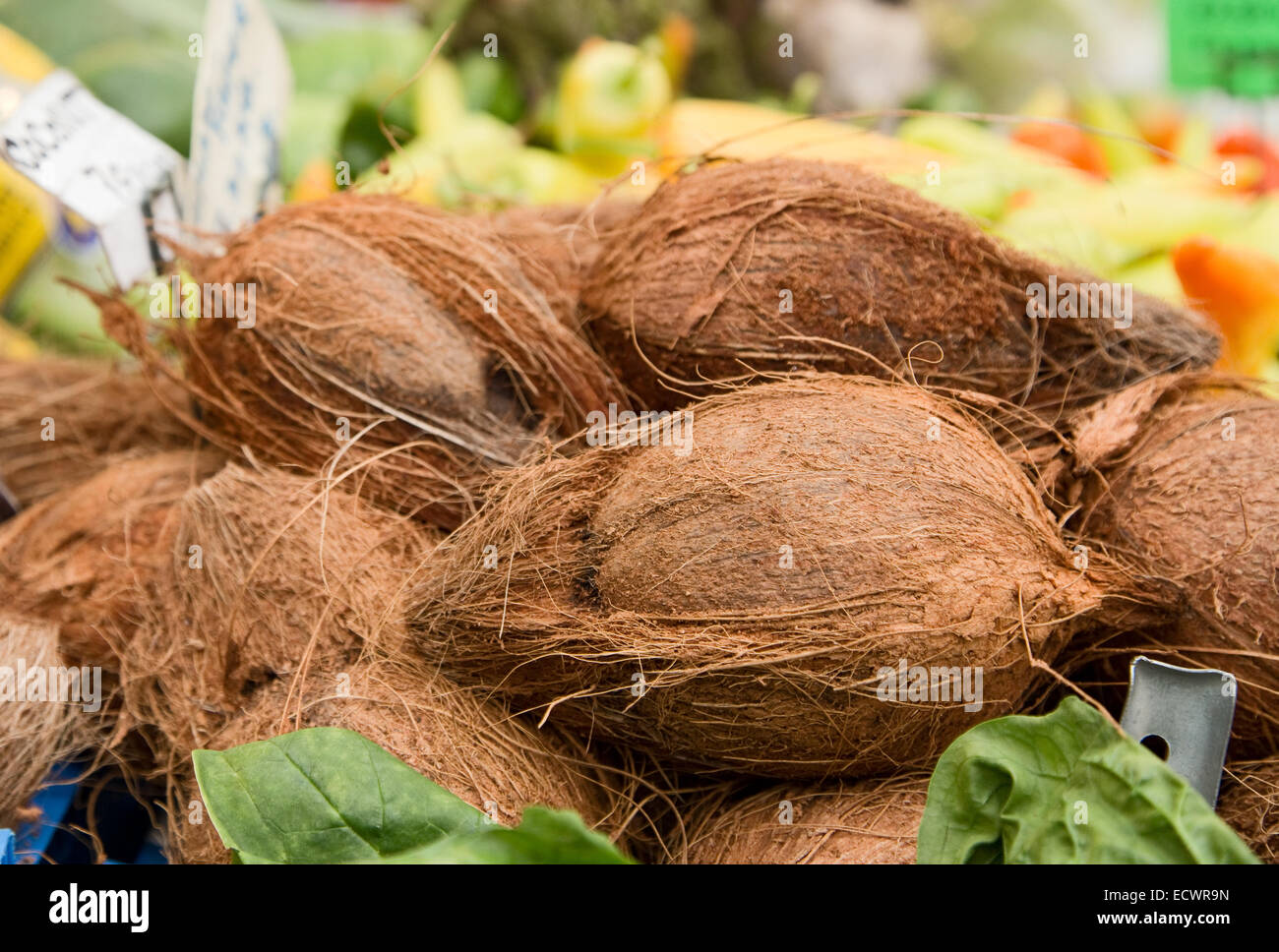 coconuts at a street market Stock Photo