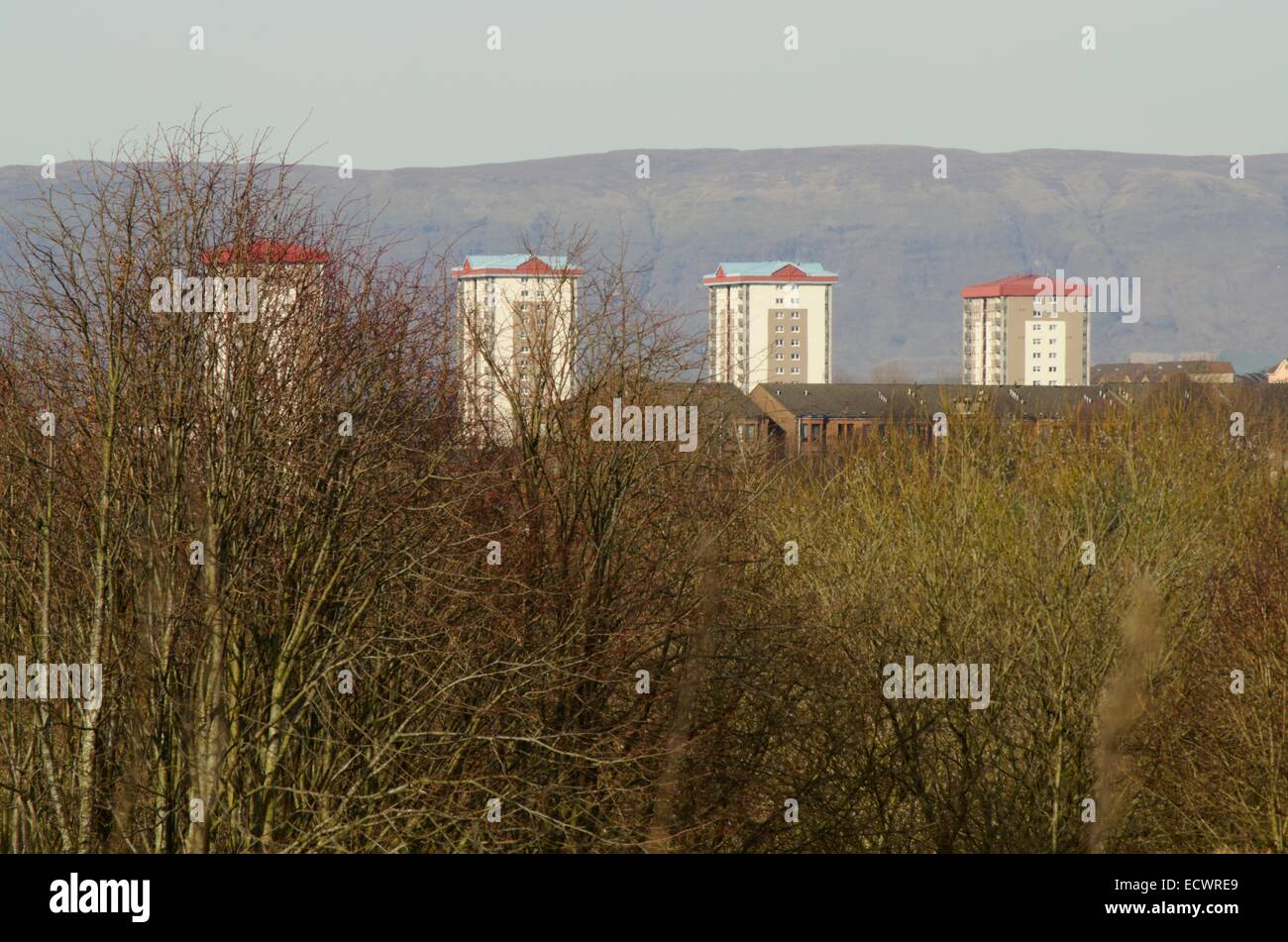View of tower blocks from Sighthill Park in Glasgow, Scotland Stock