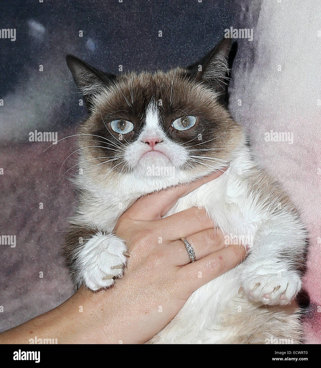 Licensing Expo 2014 at Mandalay Bay Convention Center Featuring: Grumpy ...