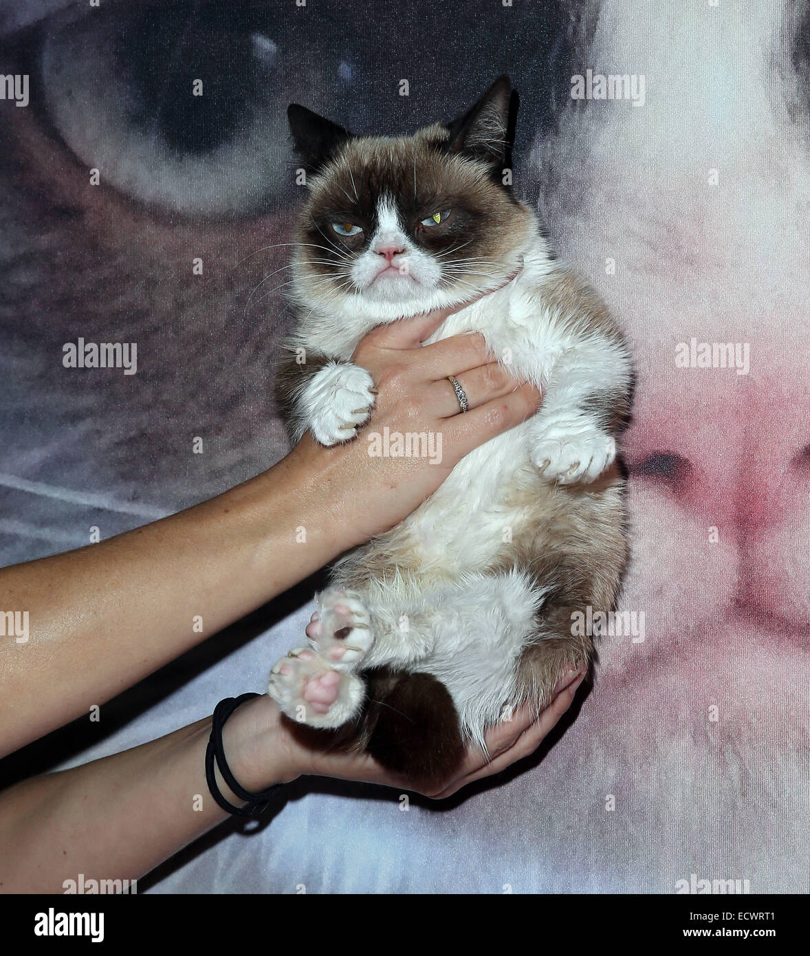 Licensing Expo 2014 at Mandalay Bay Convention Center Featuring: Grumpy ...