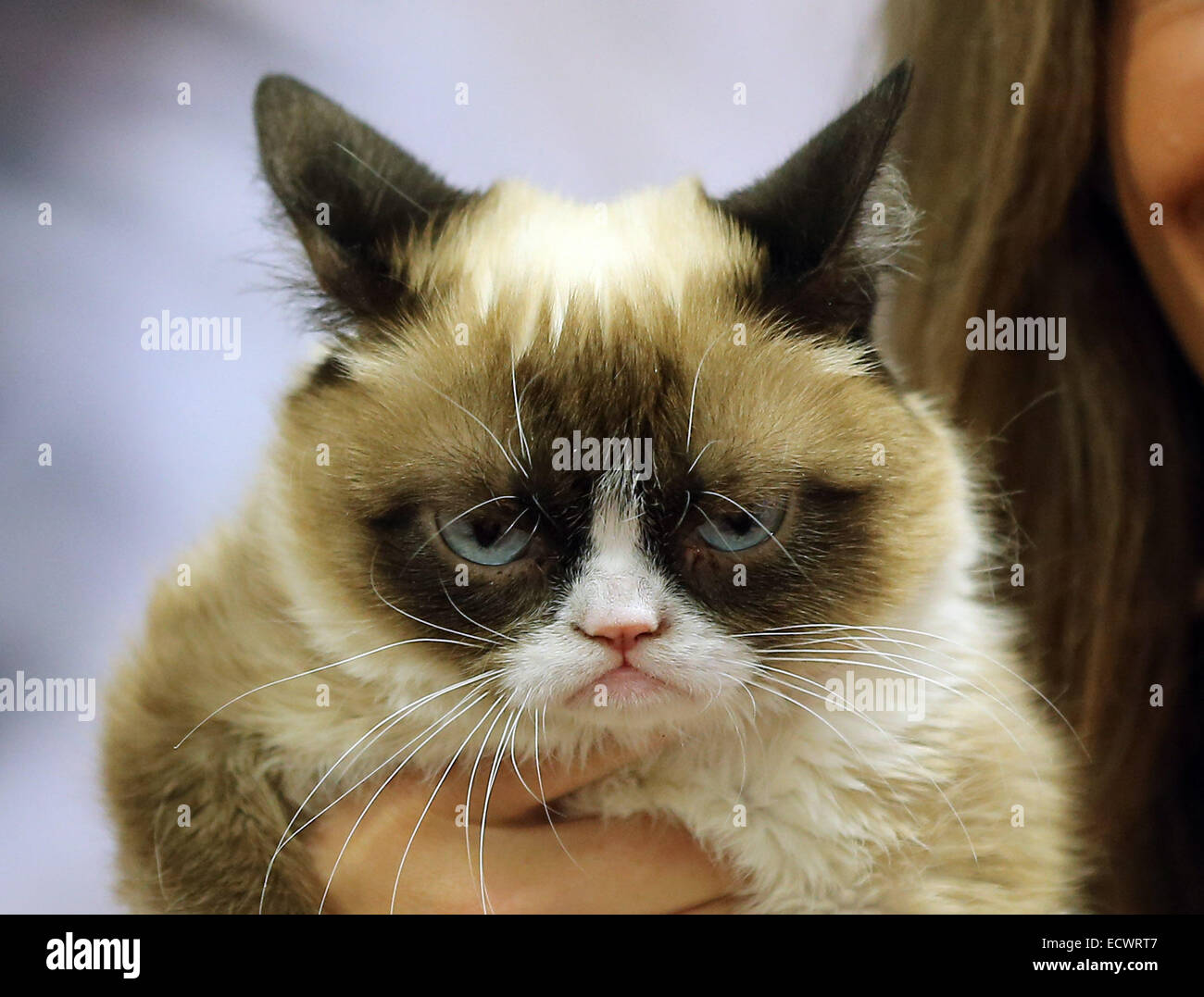 Licensing Expo 2014 at Mandalay Bay Convention Center Featuring: Grumpy ...