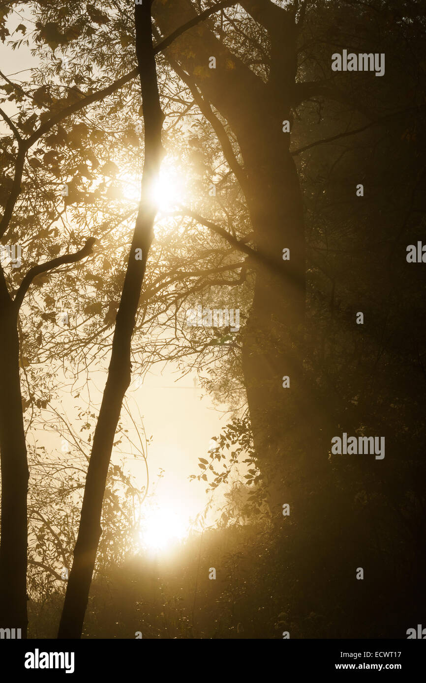 Morning Sun reflection on Adda River, Italy Stock Photo