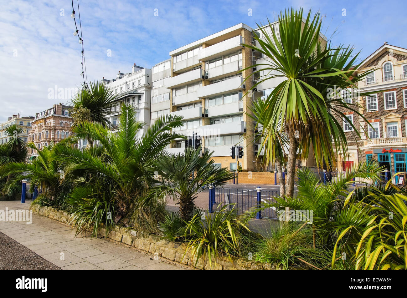 Palm trees england hires stock photography and images Alamy