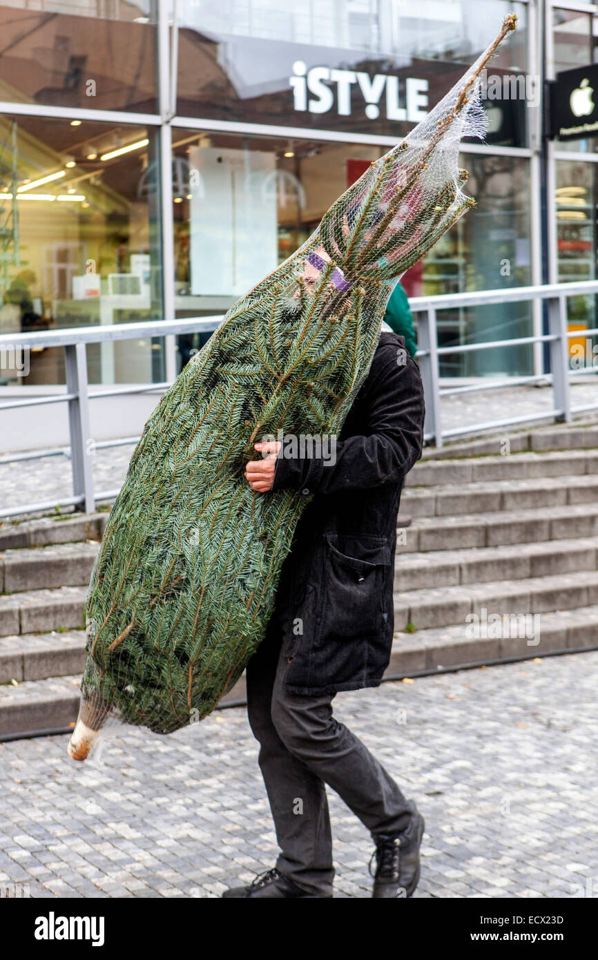 a man carrying a purchased Christmas tree buying Stock Photo