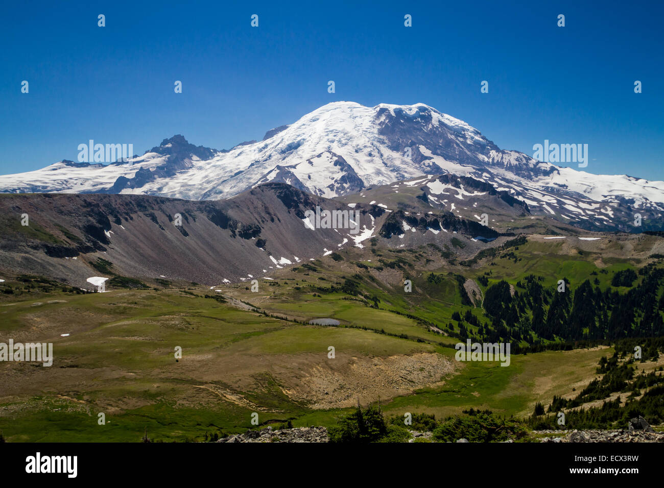 Landscape Around Mount Rainier, Washington, USA Stock Photo