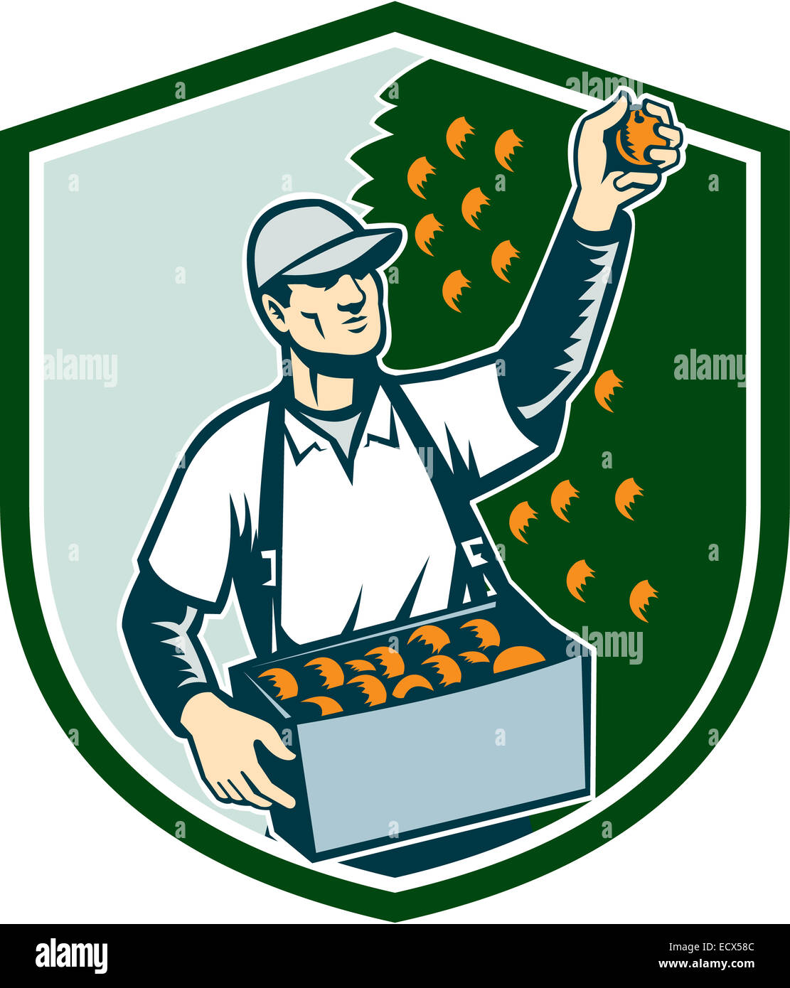 Illustration of a fruit picker fruit worker picking plum viewed from
