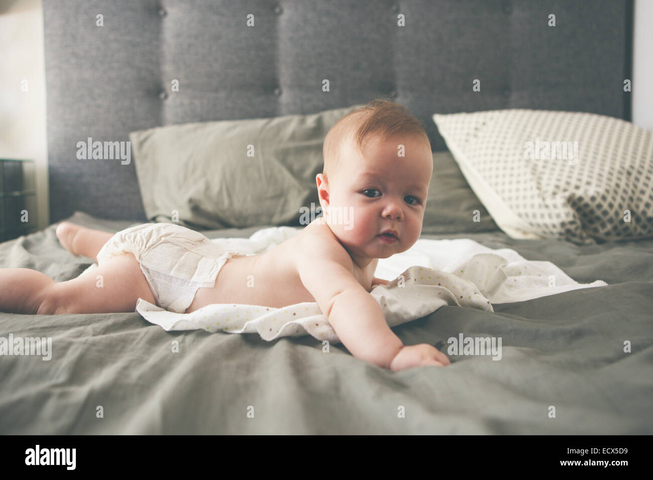 Portrait of little baby lying on front on bed with raised head Stock Photo