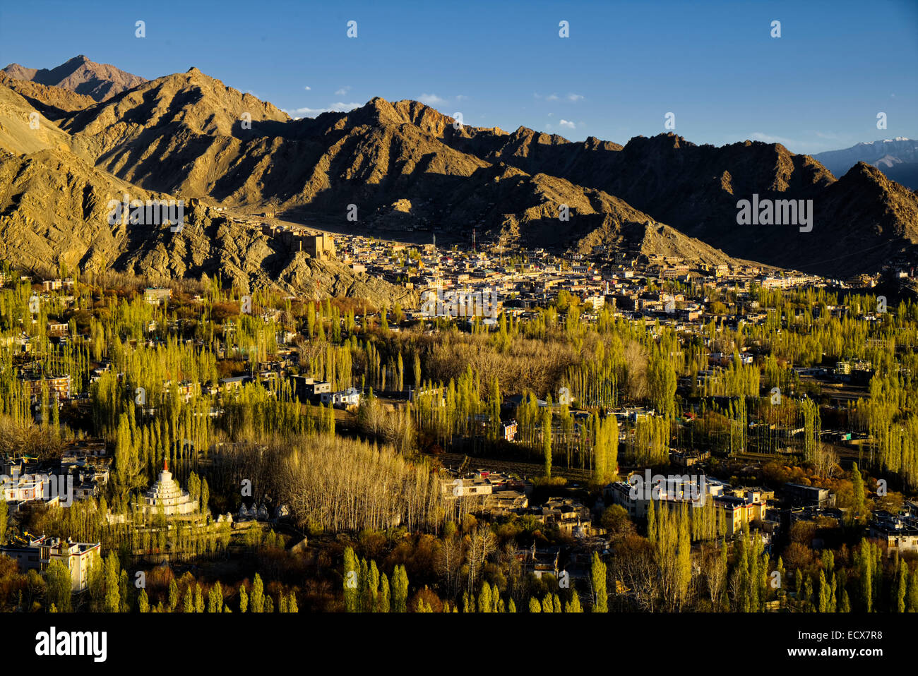 Land of high passes, Ladakh, Leh, North India Stock Photo Alamy