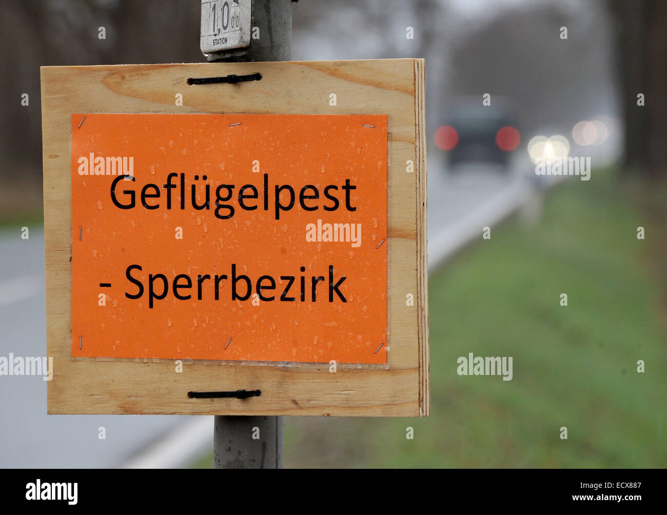 Barssel, Germany. 21st Dec, 2014. An orange-colored sign warns of the bird flu prohibited area at a country road close to Barssel, Germany, 21 December 2014. Photo: Ingo Wagner/dpa/Alamy Live News Stock Photo