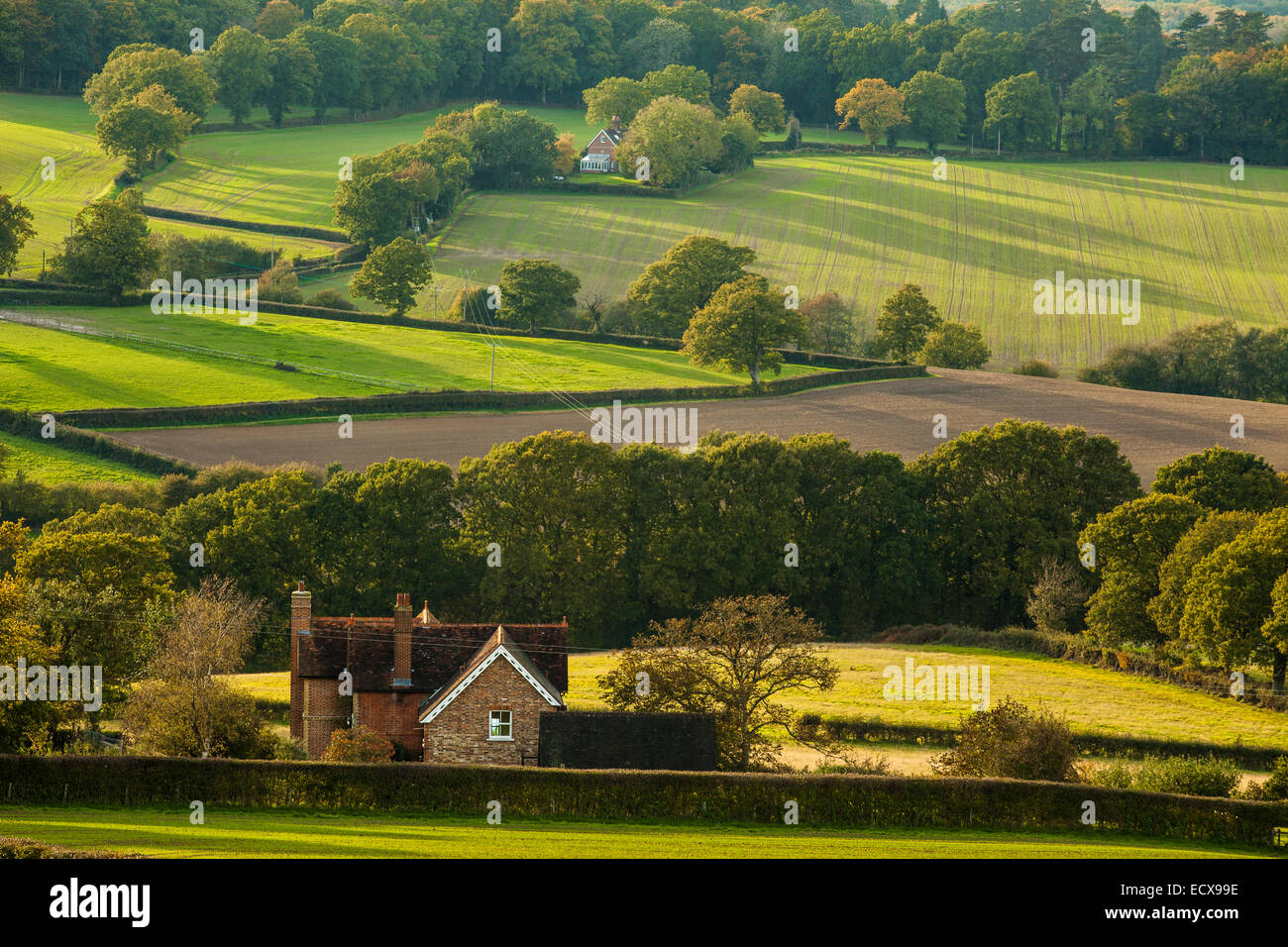 Autumn afternoon on the High Weald near Eridge, East Sussex, England