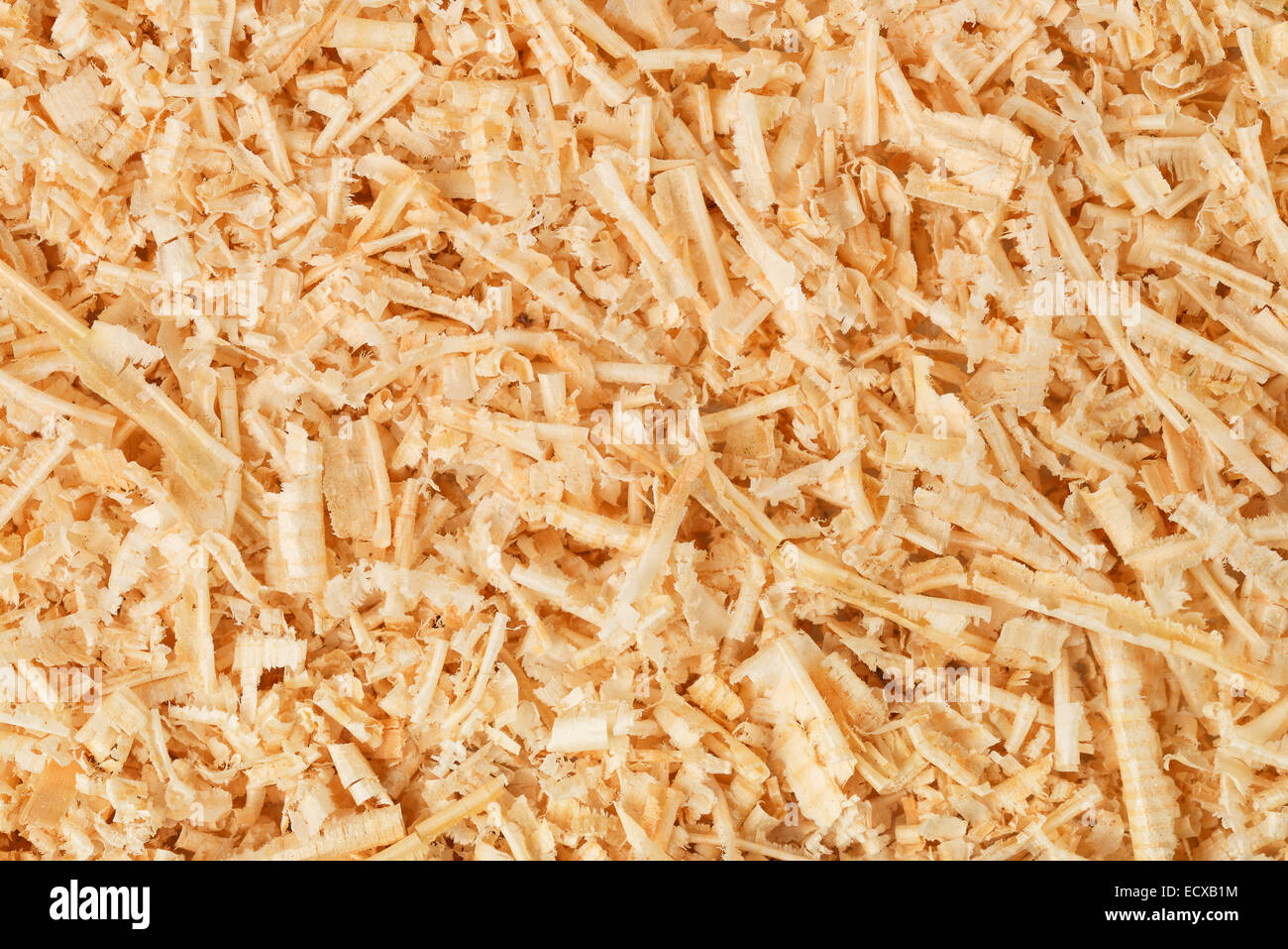 Background of wooden shavings and sawdust Stock Photo