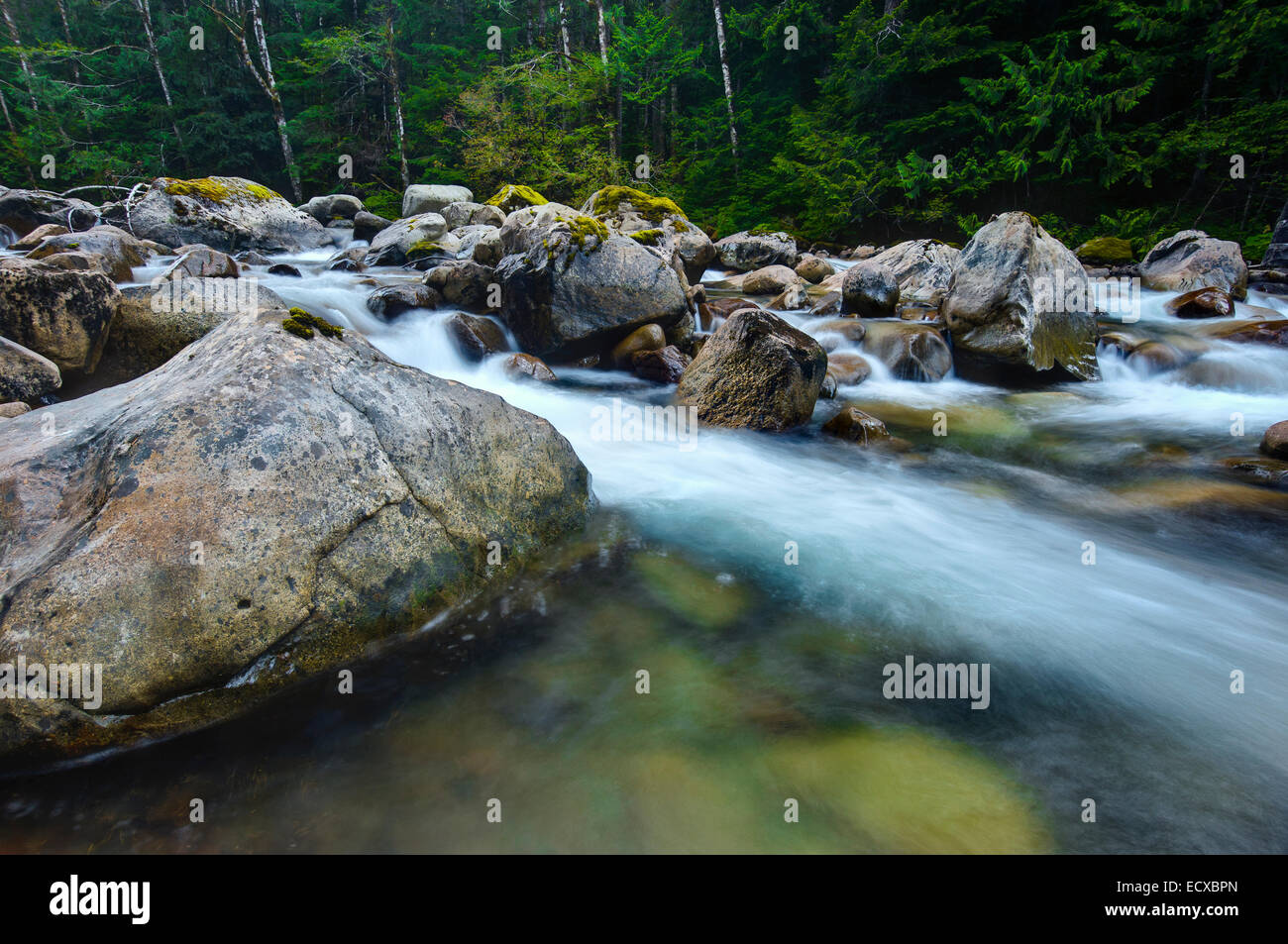 Foss River, Mount Baker-Snoqualmie National Forest, Washington, USA Stock Photo