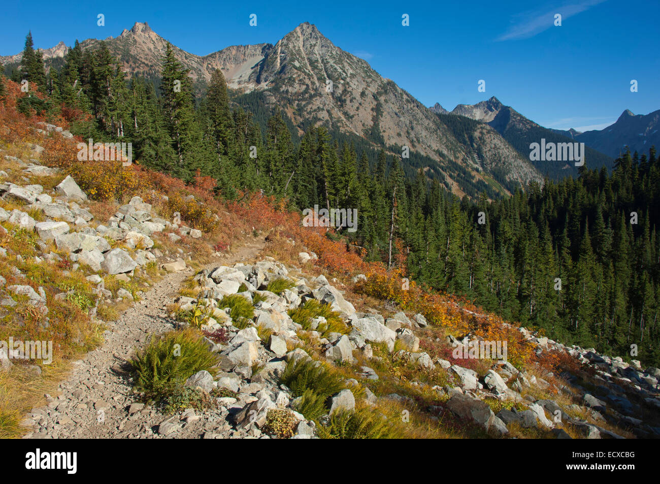 Trail to Lake Ann,  Okanogan-Wenatchee National Forest, North Cascades, Washington, USA Stock Photo