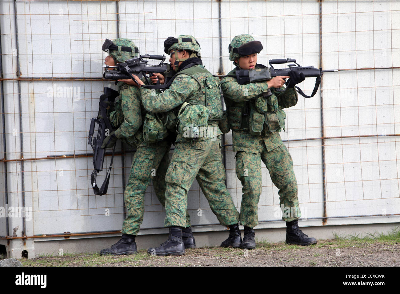 Marines share amphibious training, history with Singapore guardsmen