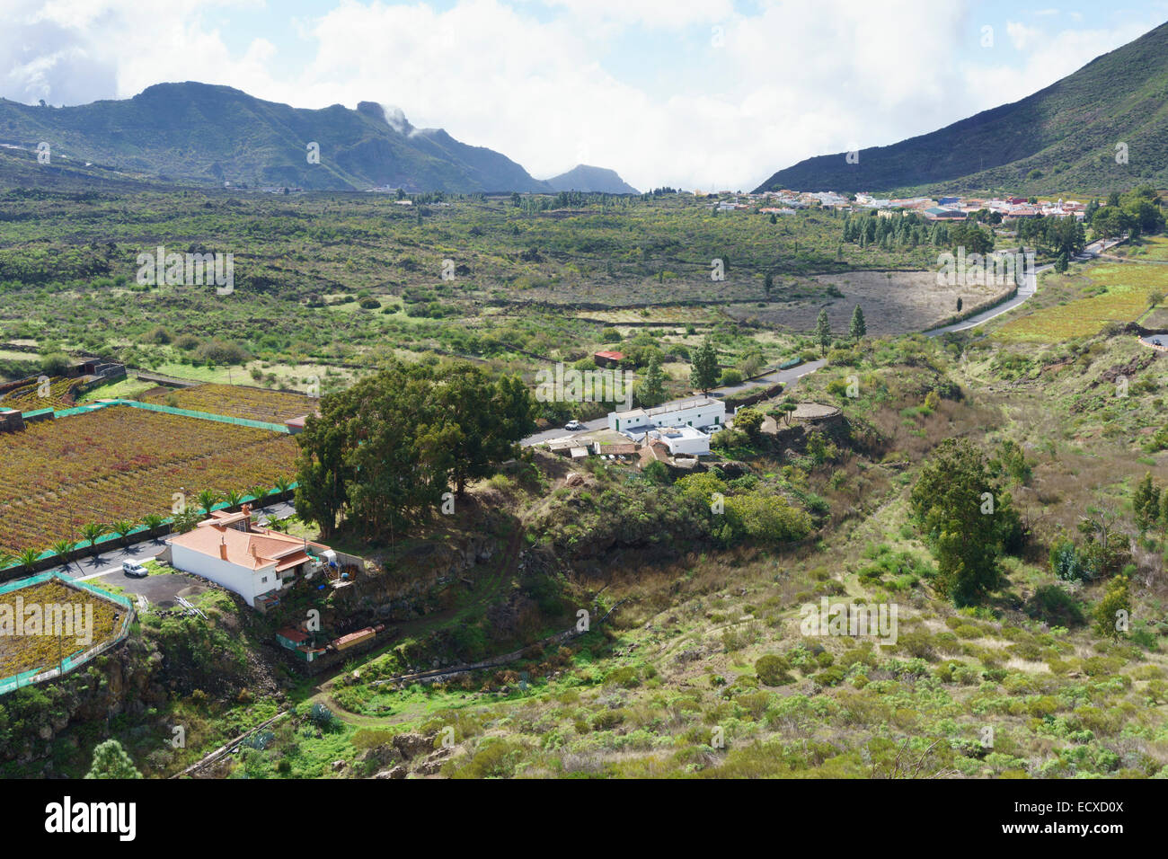 Tenerife - Valle de Arriba. Vineyards and agriculture. Stock Photo