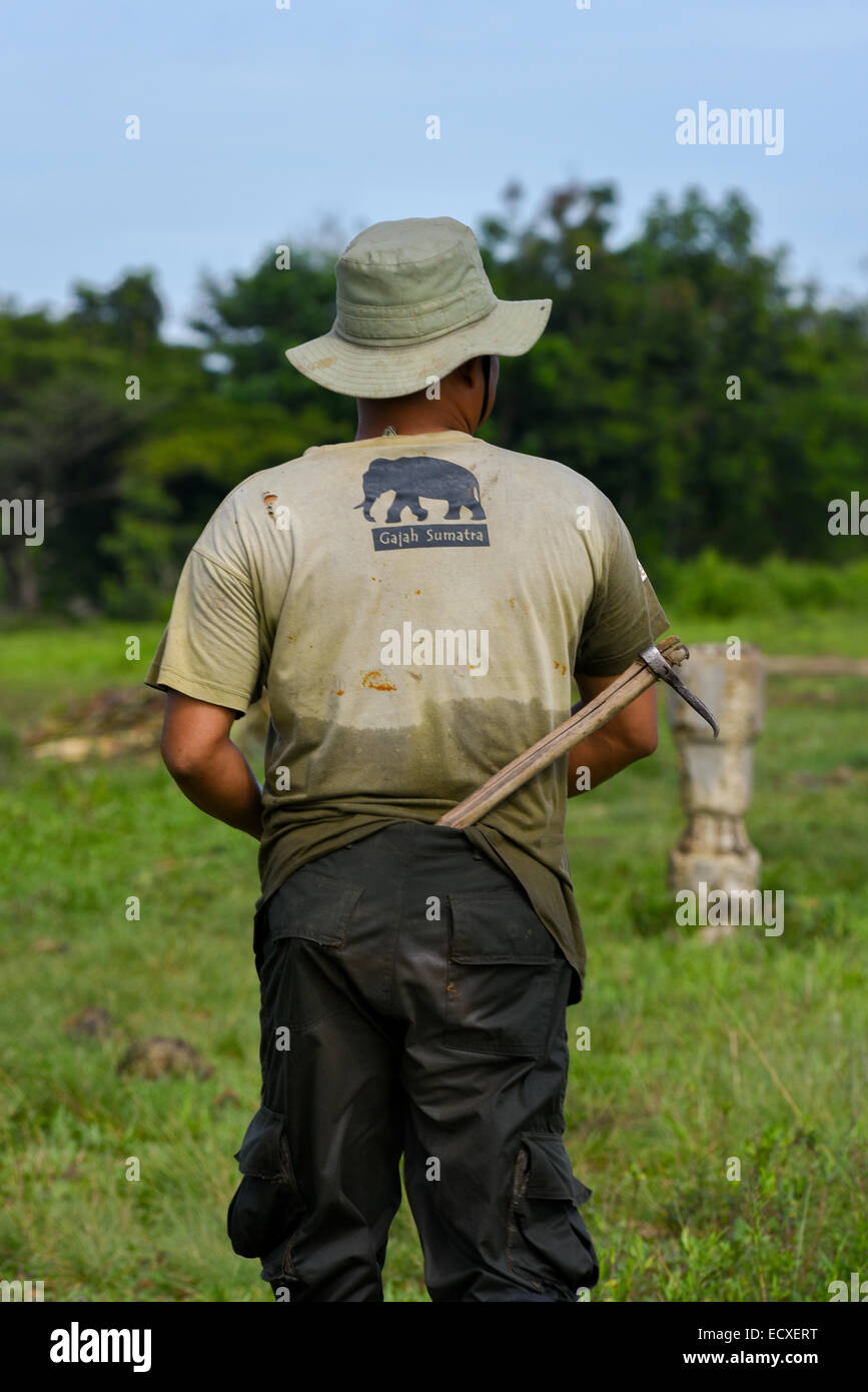 A mahout, elephant keeper or trainer, at Elephant Conservation Center, Way Kambas National Park, Indonesia. Stock Photo